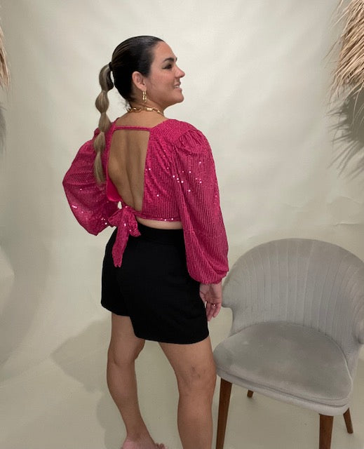 Pink Long Sleeves Sequin Top